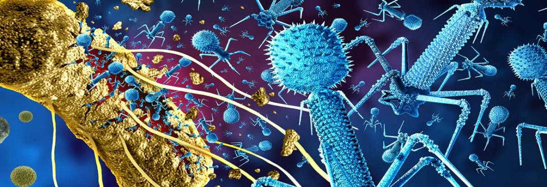 Antibioticoresistenza: messo a punto un fago ingegnerizzato che si attiva con la luce contro i superbatteri