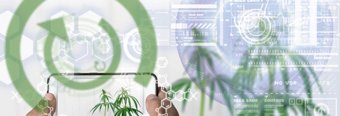 Droghe sintetiche, una piattaforma per scovarle con l’intelligenza artificiale