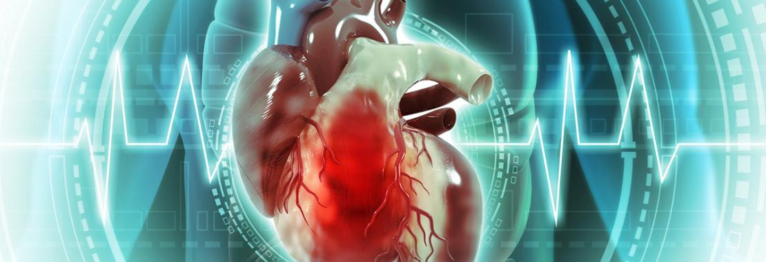 All’IRCCS San Raffaele di Roma al via il reclutamento per CVrisk-IT: il più grande progetto di prevenzione cardiovascolare italiano