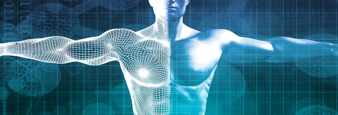 Muscoli robotici che si autoriparano: la pelle elettronica imita il corpo umano