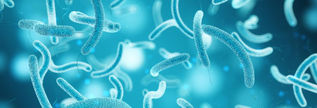 Patogeni batterici: uno studio internazionale compie un focus sulle minacce individuate dall’OMS