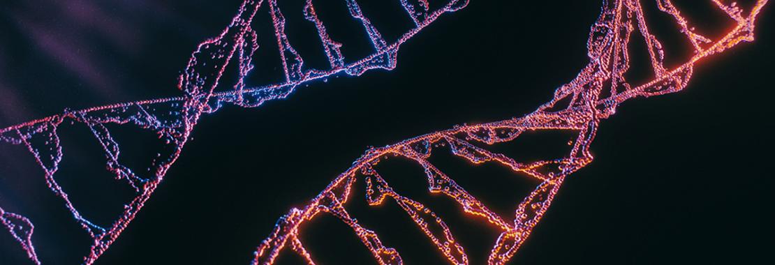 Verso Car-Nk "off-the-shelf": studio del Mit identifica strategia per evitare il rigetto immunitario