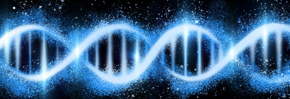 Nuovo sensore fluorescente permette di osservare la riparazione del Dna