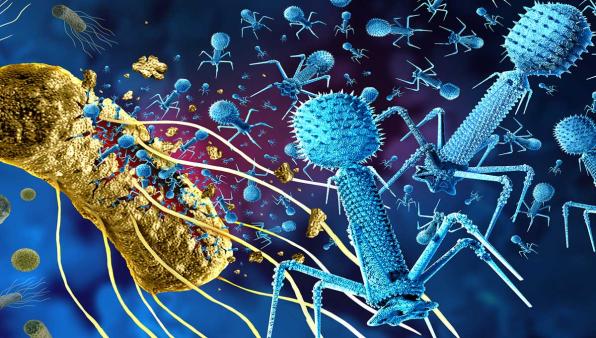 Antibioticoresistenza: messo a punto un fago ingegnerizzato che si attiva con la luce contro i superbatteri