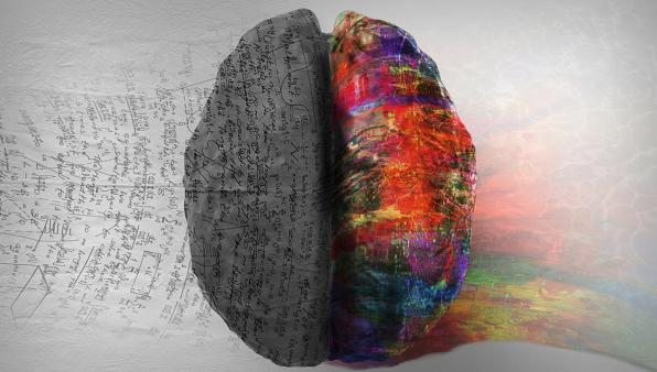 Il sistema immunitario parla al cervello: una nuova frontiera contro ansia e autismo