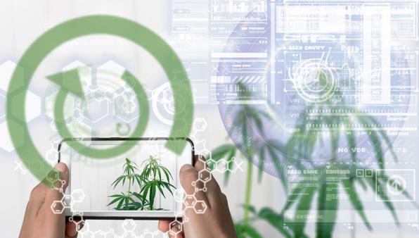 Droghe sintetiche, una piattaforma per scovarle con l’intelligenza artificiale