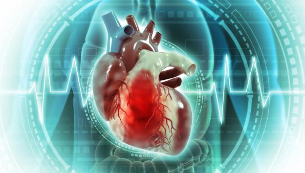 All’IRCCS San Raffaele di Roma al via il reclutamento per CVrisk-IT: il più grande progetto di prevenzione cardiovascolare italiano