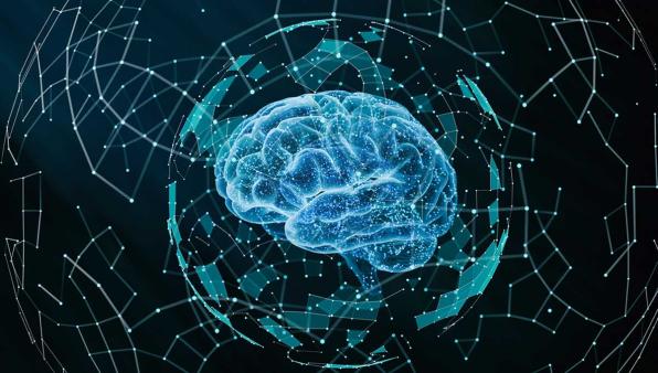 Ec The Armamentarium, il progetto globale per curare il cervello cellula per cellula