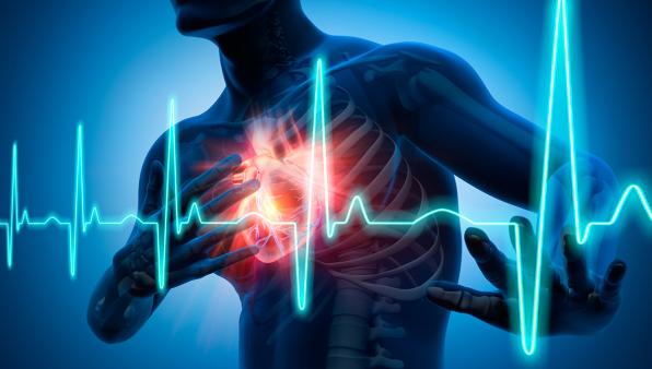 Un cerotto a base di staminali per riparare il cuore affetto da scompenso