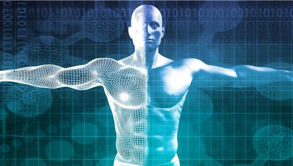 Muscoli robotici che si autoriparano: la pelle elettronica imita il corpo umano