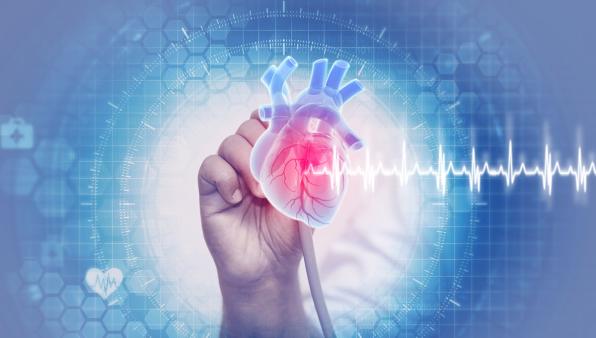 Malattie cardiovascolari: diminuiscono le donne nei trial clinici, cure meno efficaci e più rischi