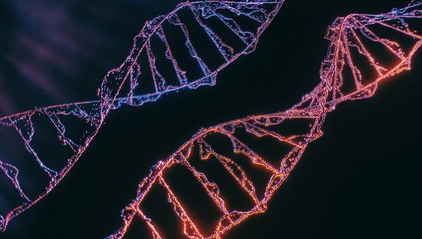 Verso Car-Nk "off-the-shelf": studio del Mit identifica strategia per evitare il rigetto immunitario