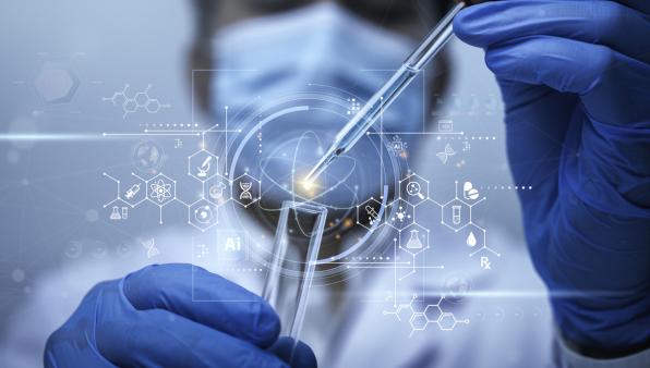 Creato in laboratorio il modello di rene umano più realistico di sempre