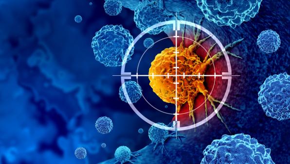 Terapie a base di cellule staminali: una roadmap dall’ISSCR