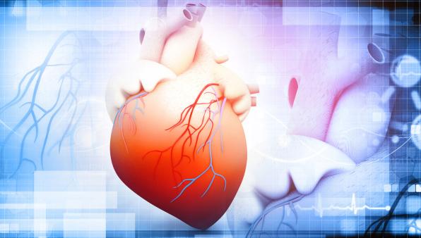 Infarto, terapia con cellule staminali riduce il rischio di insufficienza cardiaca e di riospedalizzazione