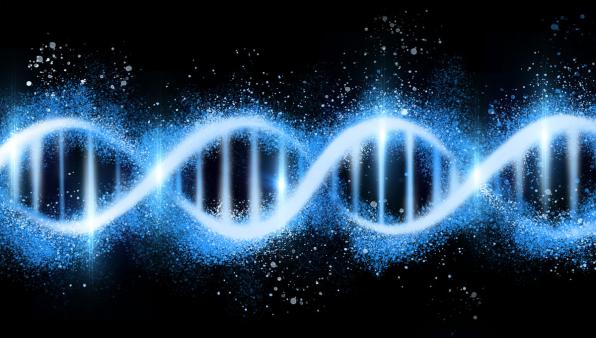 Nuovo sensore fluorescente permette di osservare la riparazione del Dna